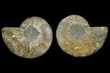 Agate Replaced Ammonite Fossil - Madagascar #169017-1